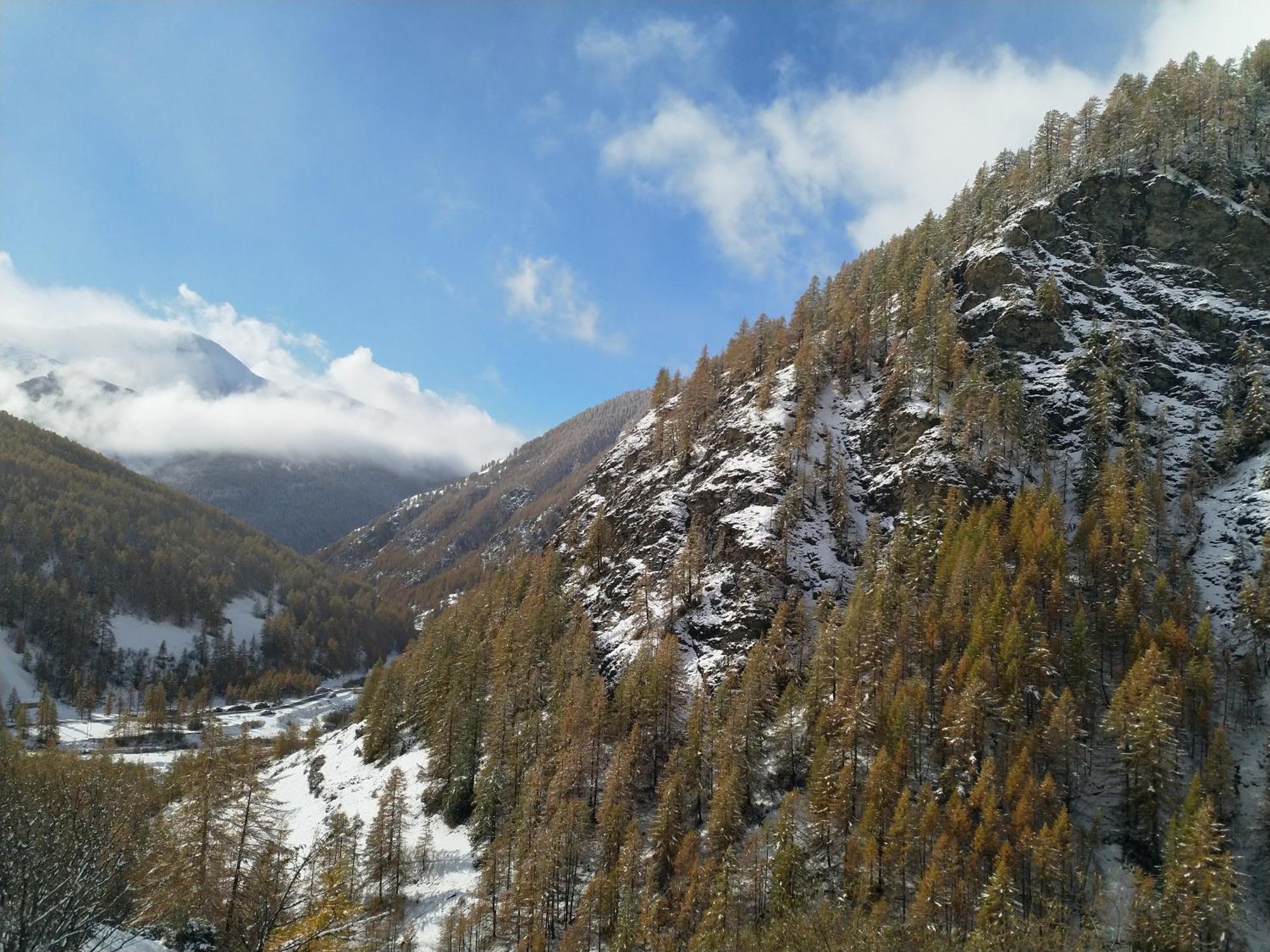 Le Grenier Du Roux Abriès Exterior foto